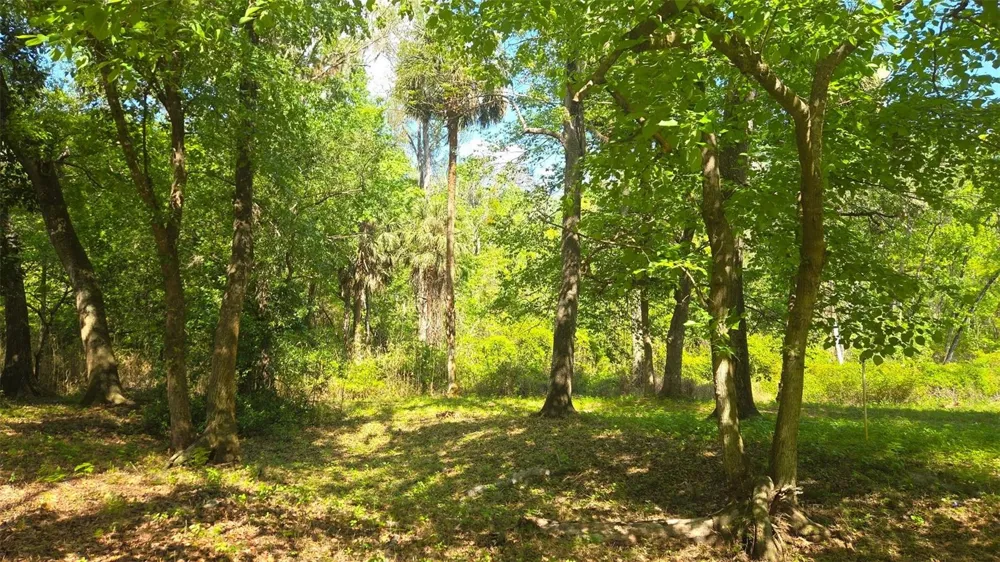 2140 ST JOHNS RIVER ROAD Astor, FL 32102