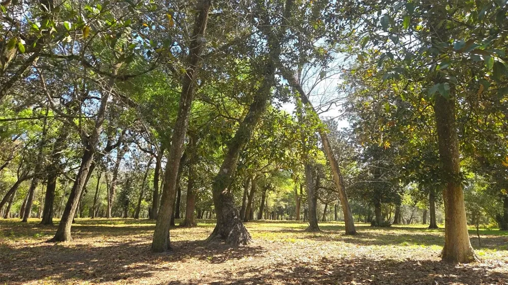 2140 ST JOHNS RIVER ROAD Astor, FL 32102