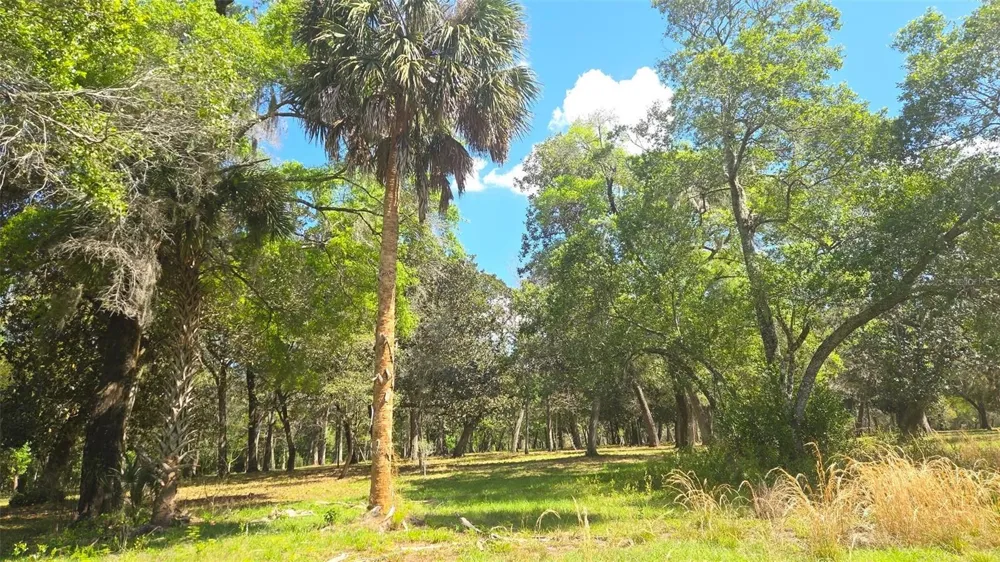 2140 ST JOHNS RIVER ROAD Astor, FL 32102