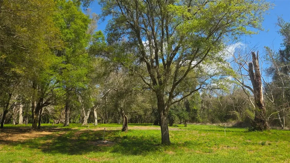 2140 ST JOHNS RIVER ROAD Astor, FL 32102