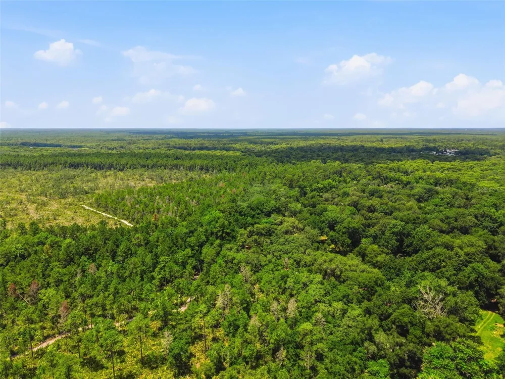 2140 ST JOHNS RIVER ROAD Astor, FL 32102