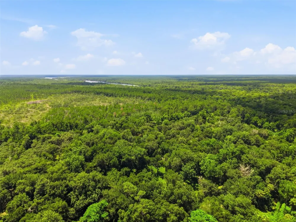 2140 ST JOHNS RIVER ROAD Astor, FL 32102