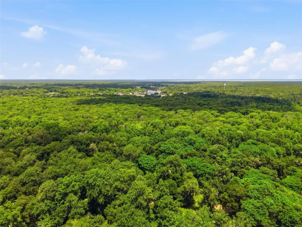 2140 ST JOHNS RIVER ROAD Astor, FL 32102
