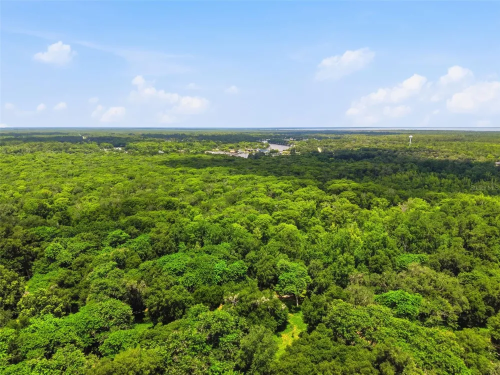 2140 ST JOHNS RIVER ROAD Astor, FL 32102