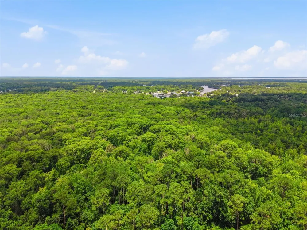2140 ST JOHNS RIVER ROAD Astor, FL 32102