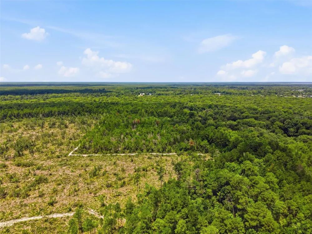 2140 ST JOHNS RIVER ROAD Astor, FL 32102