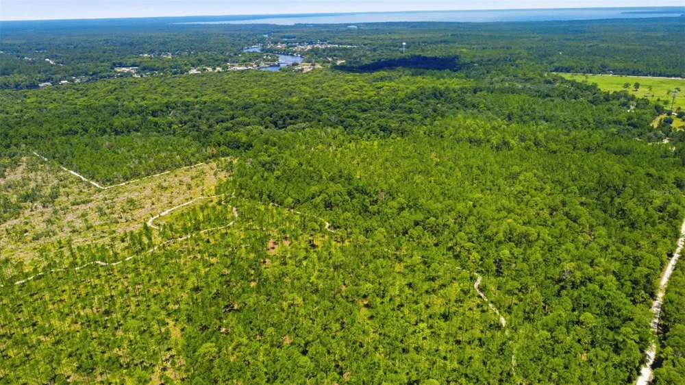2140 ST JOHNS RIVER ROAD Astor, FL 32102