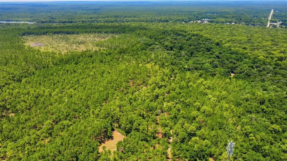 2140 ST JOHNS RIVER ROAD Astor, FL 32102