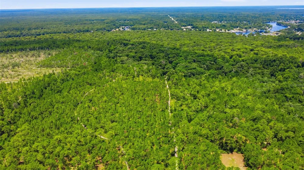 2140 ST JOHNS RIVER ROAD Astor, FL 32102