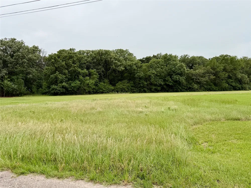 Water Oak Road Trinidad, TX 75163