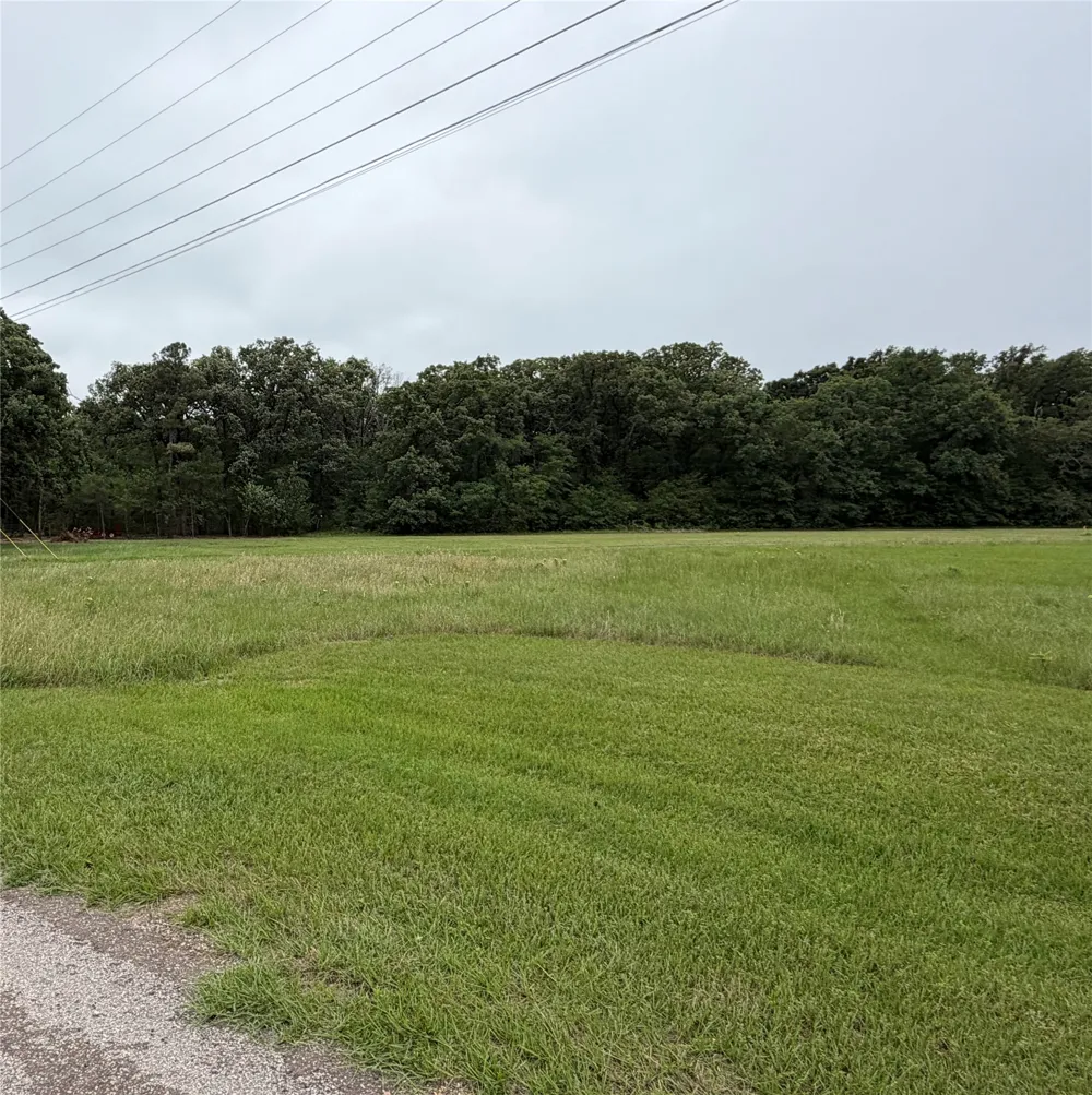 Water Oak Road Trinidad, TX 75163