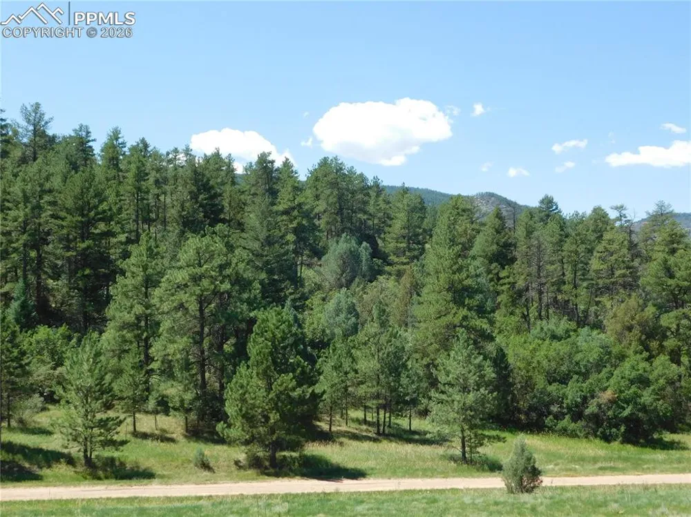 4668 Comanche Drive Larkspur, CO 80118