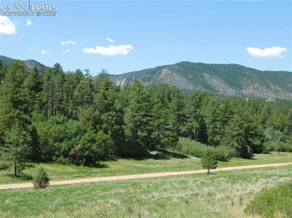 4668 Comanche Drive Larkspur, CO 80118