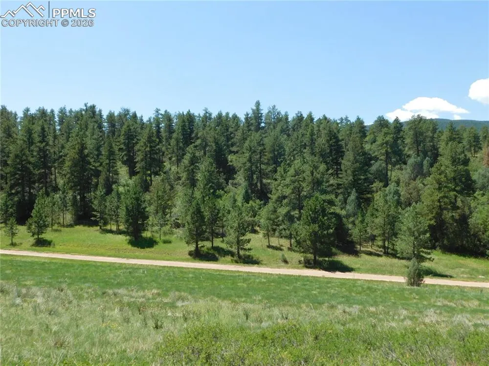 4668 Comanche Drive Larkspur, CO 80118