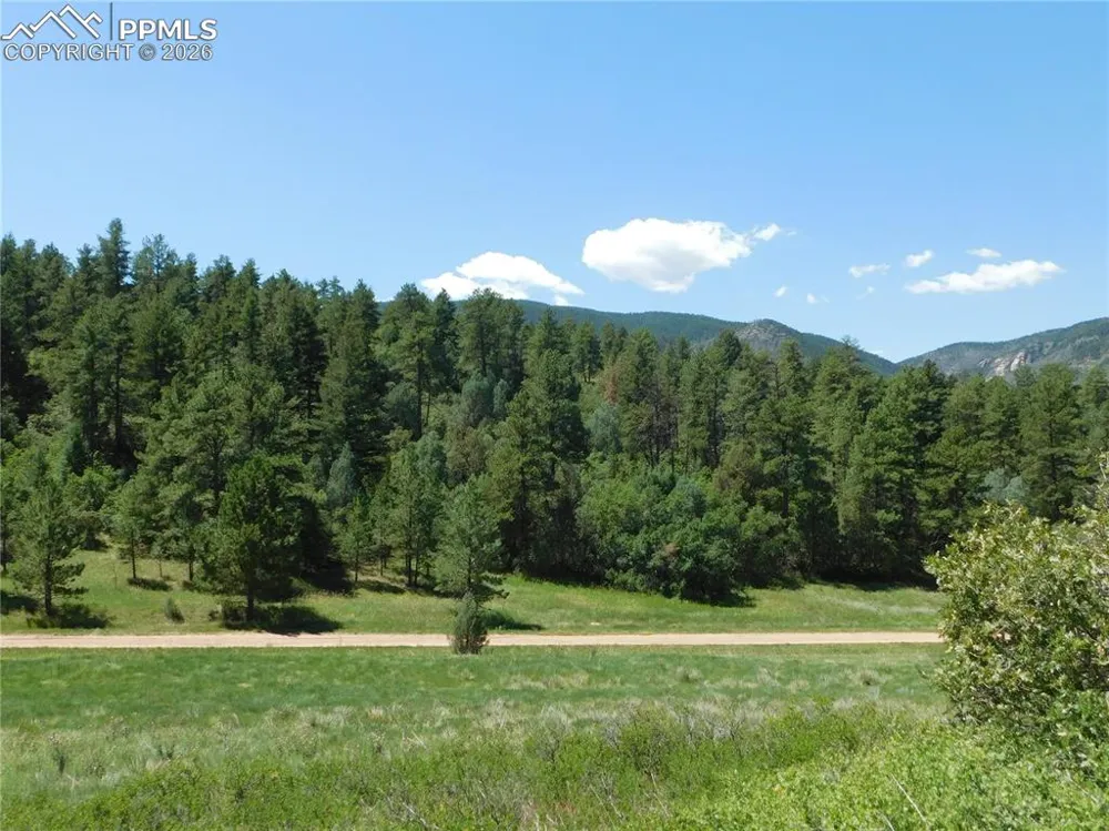 4668 Comanche Drive Larkspur, CO 80118
