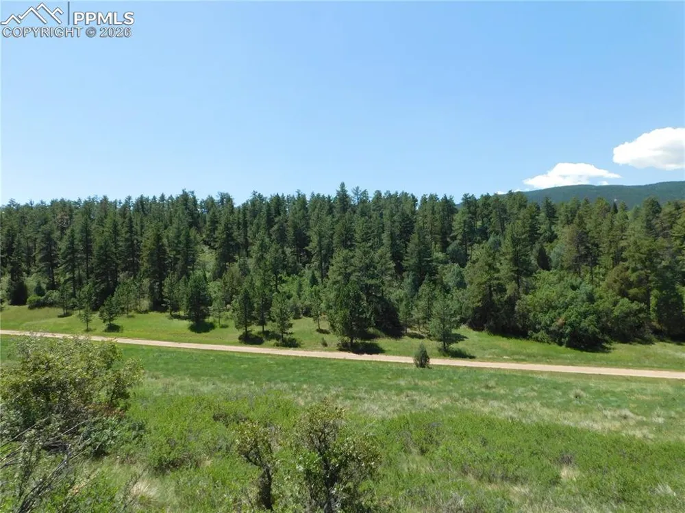 4668 Comanche Drive Larkspur, CO 80118