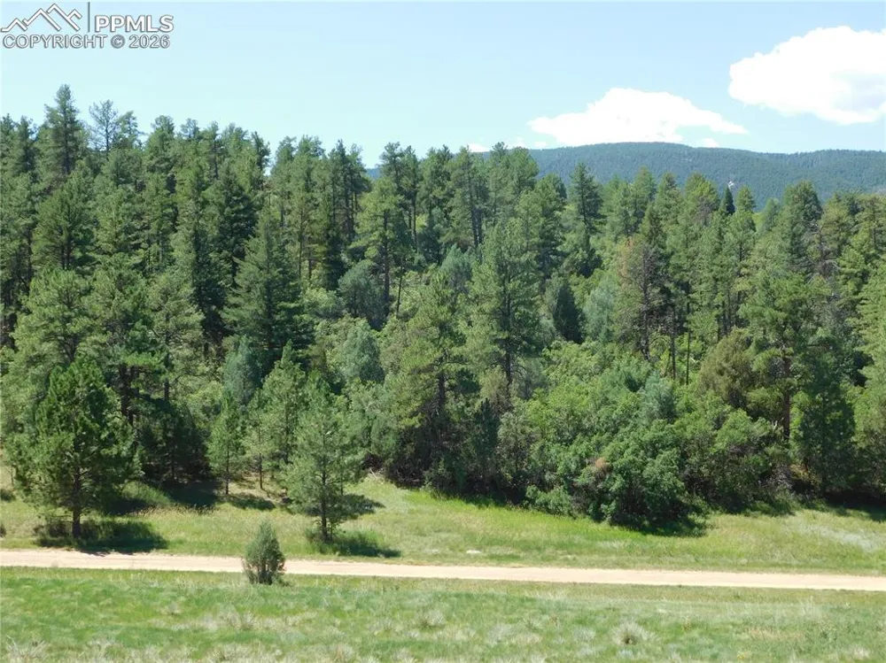 4668 Comanche Drive Larkspur, CO 80118