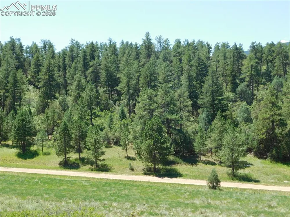 4668 Comanche Drive Larkspur, CO 80118