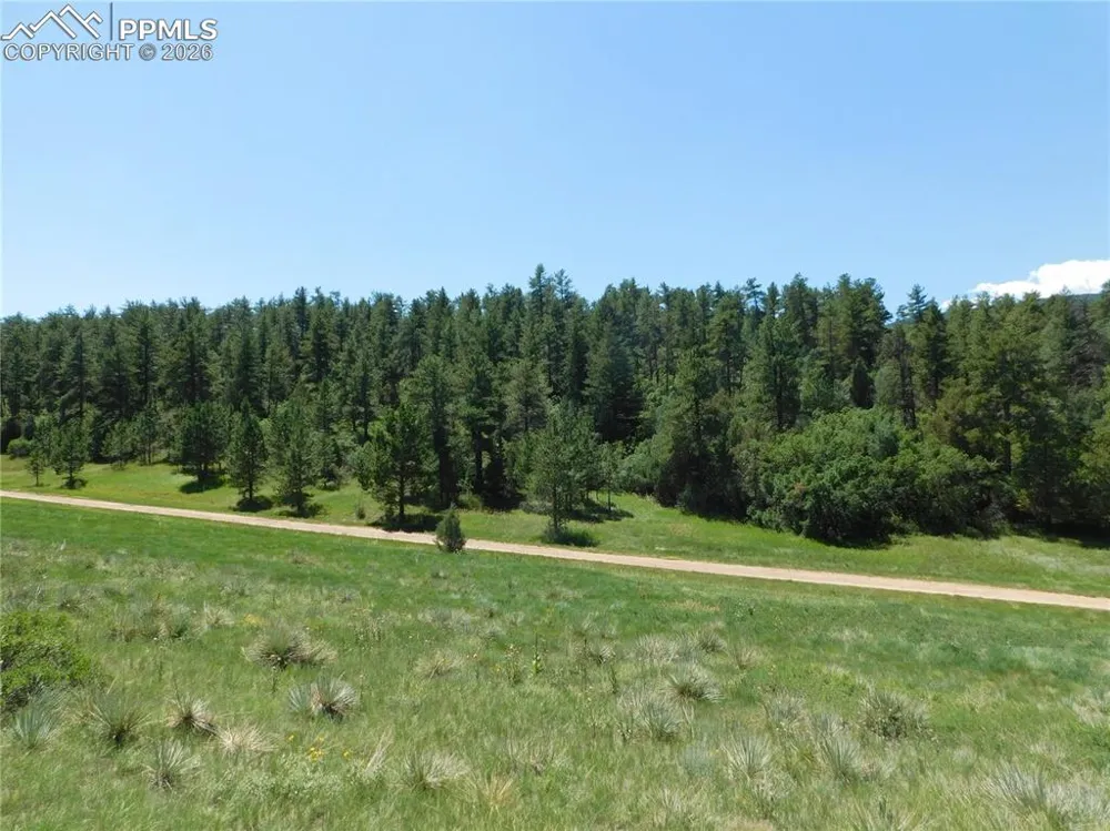 4668 Comanche Drive Larkspur, CO 80118