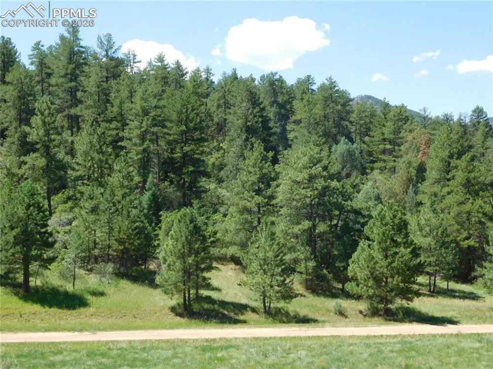 4668 Comanche Drive Larkspur, CO 80118