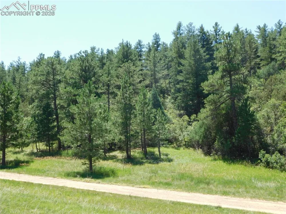 4668 Comanche Drive Larkspur, CO 80118