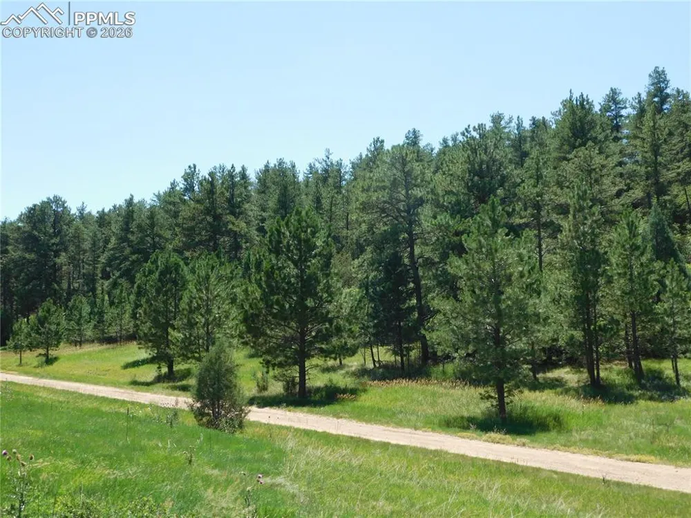 4668 Comanche Drive Larkspur, CO 80118