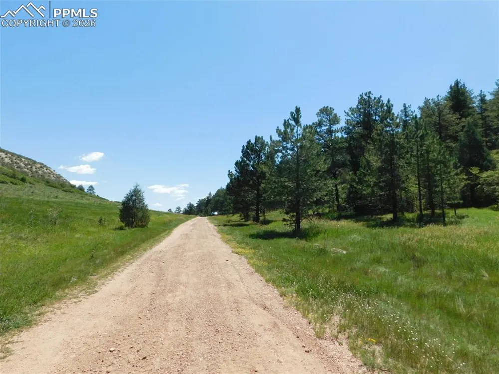 4668 Comanche Drive Larkspur, CO 80118
