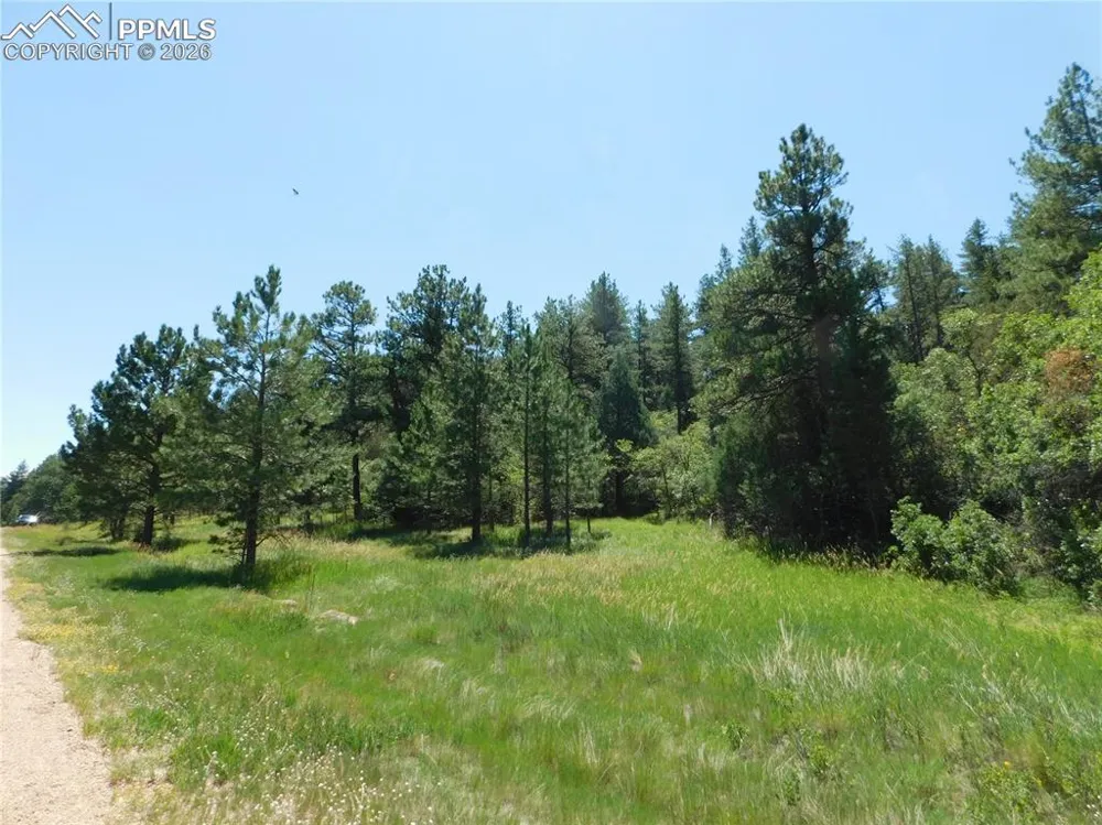 4668 Comanche Drive Larkspur, CO 80118
