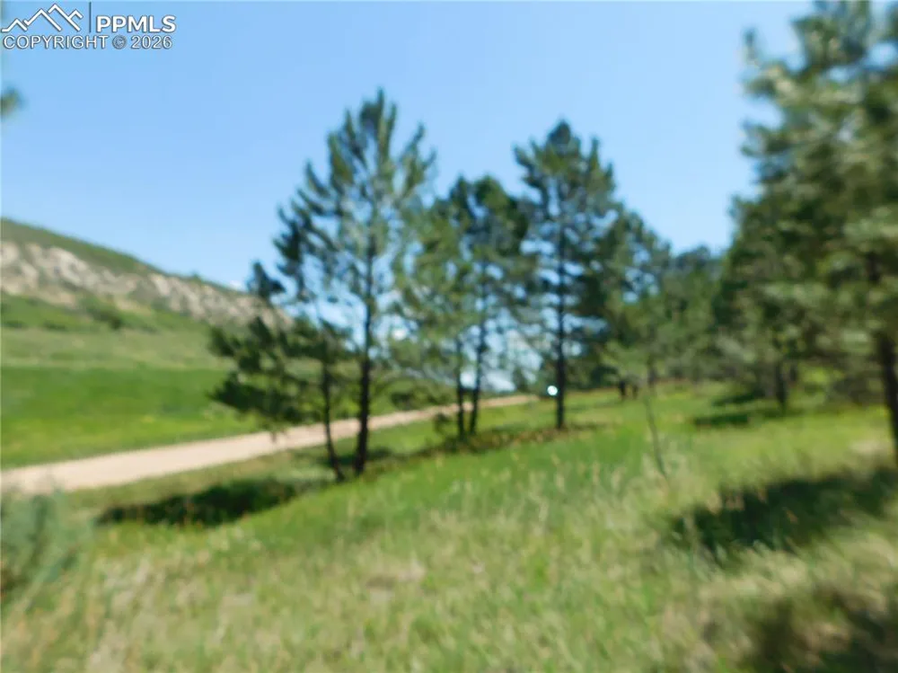 4668 Comanche Drive Larkspur, CO 80118