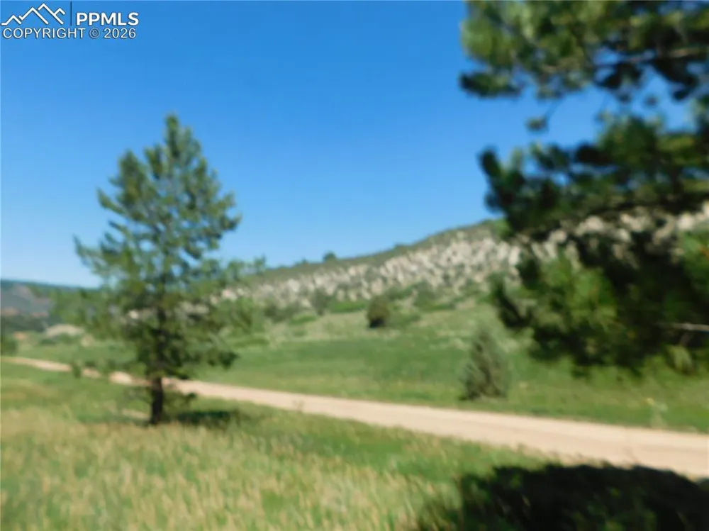 4668 Comanche Drive Larkspur, CO 80118
