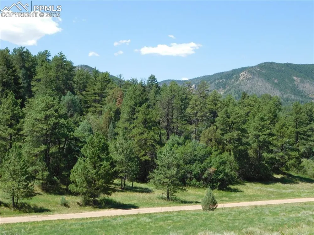 4668 Comanche Drive Larkspur, CO 80118