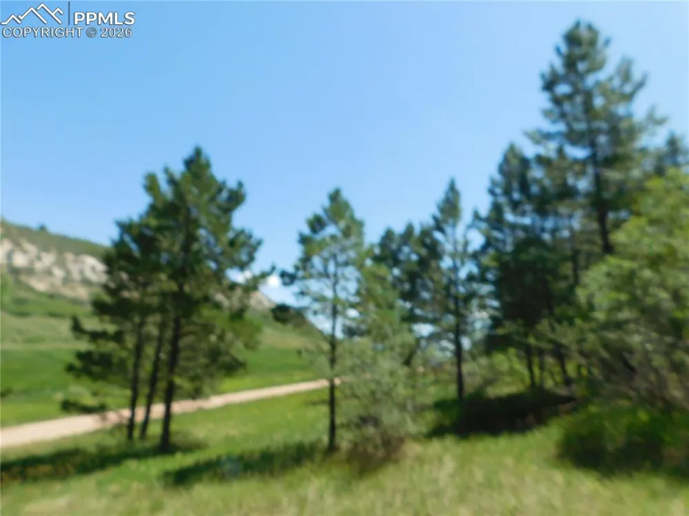 4668 Comanche Drive Larkspur, CO 80118