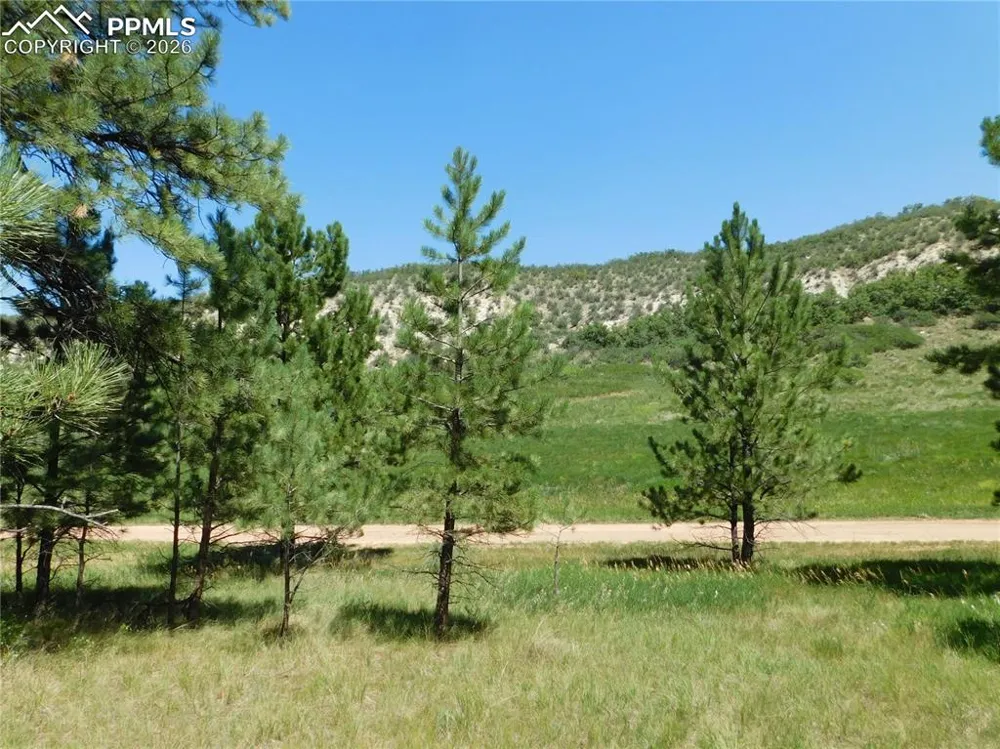 4668 Comanche Drive Larkspur, CO 80118