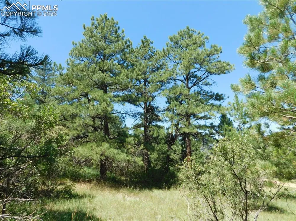 4668 Comanche Drive Larkspur, CO 80118