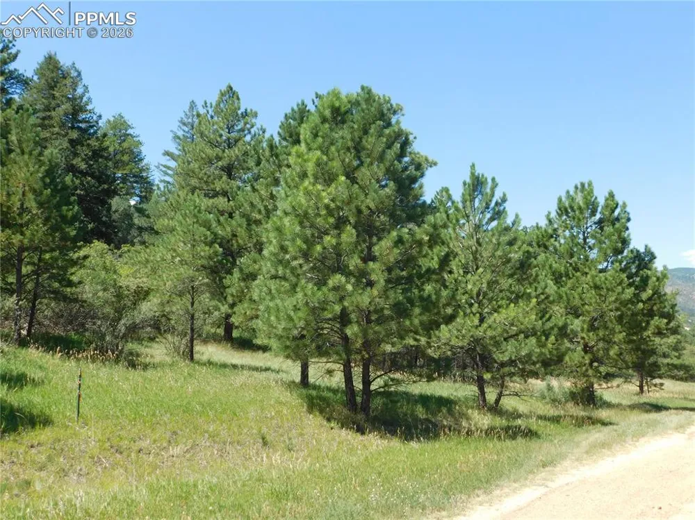 4668 Comanche Drive Larkspur, CO 80118