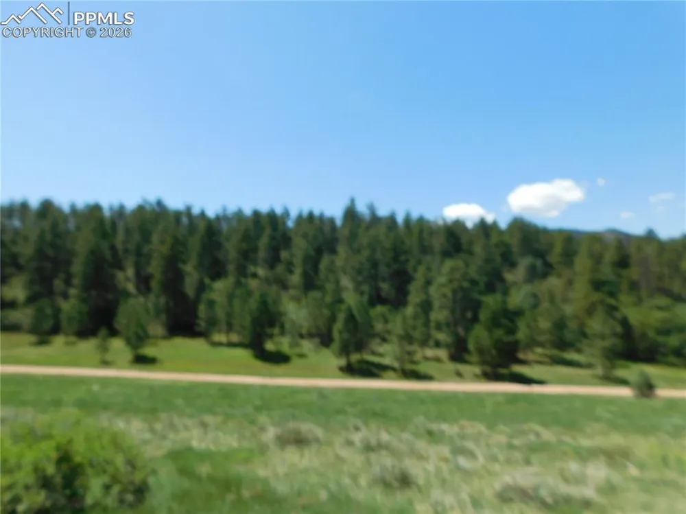 4668 Comanche Drive Larkspur, CO 80118