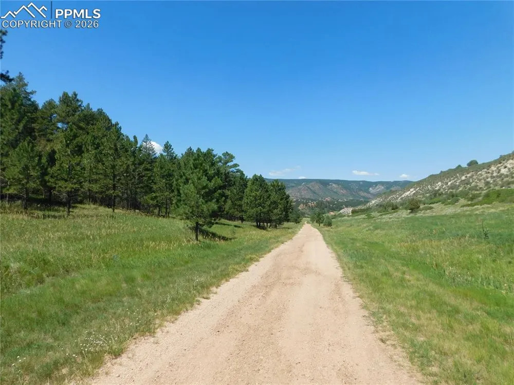 4668 Comanche Drive Larkspur, CO 80118