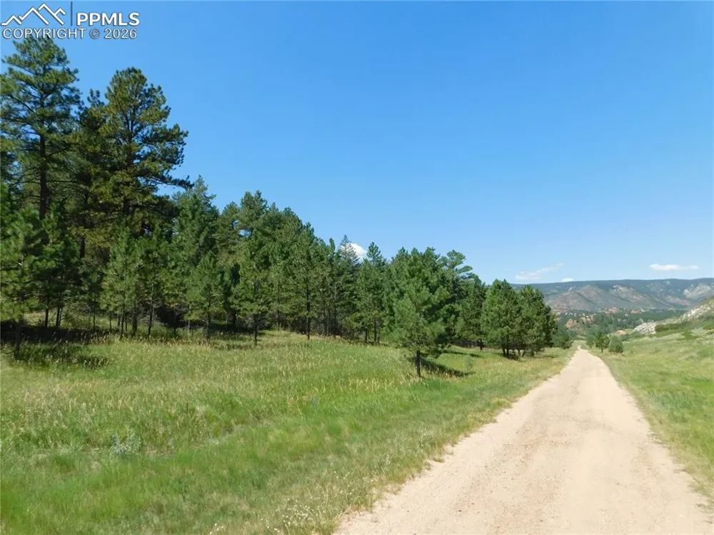 4668 Comanche Drive Larkspur, CO 80118