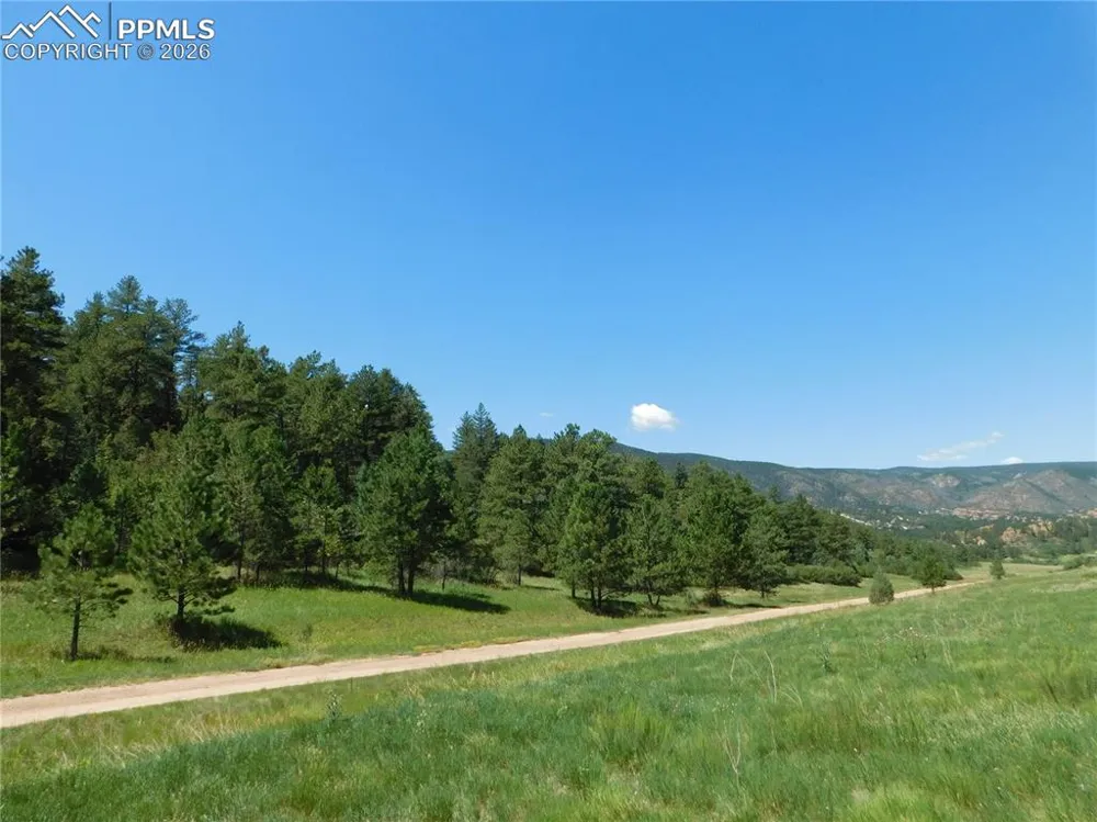 4668 Comanche Drive Larkspur, CO 80118