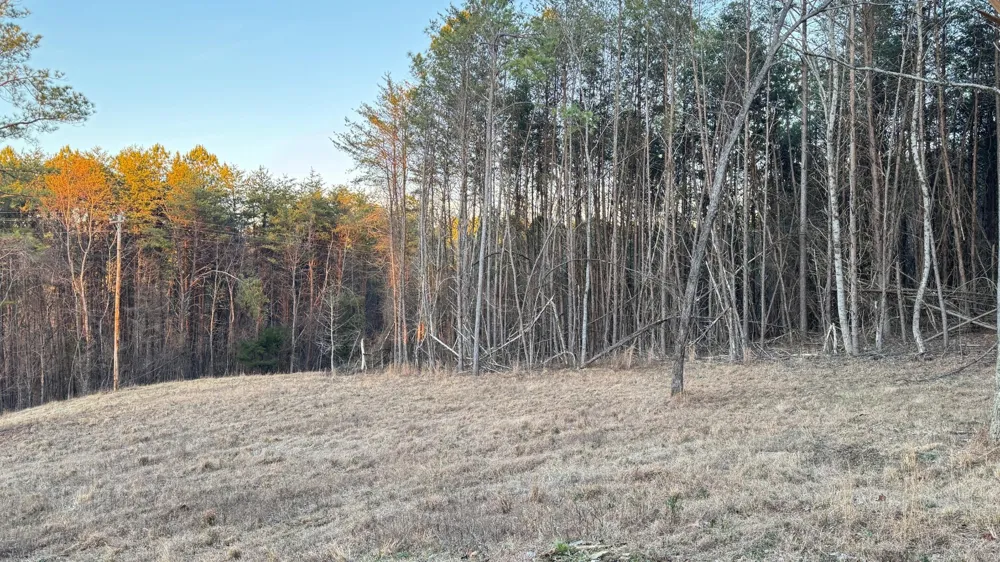 2100 Cottonport Ridge Road Decatur, TN 37322