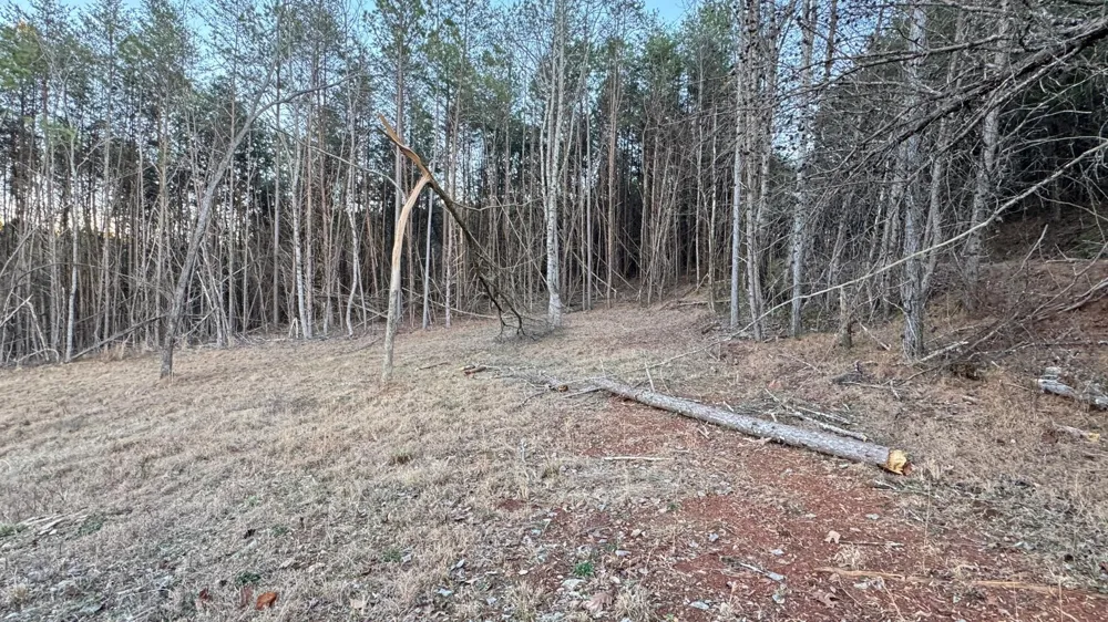 2100 Cottonport Ridge Road Decatur, TN 37322