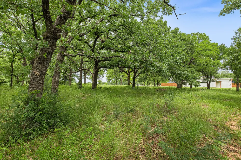 1999 Sunflower Road Paradise, TX 76073