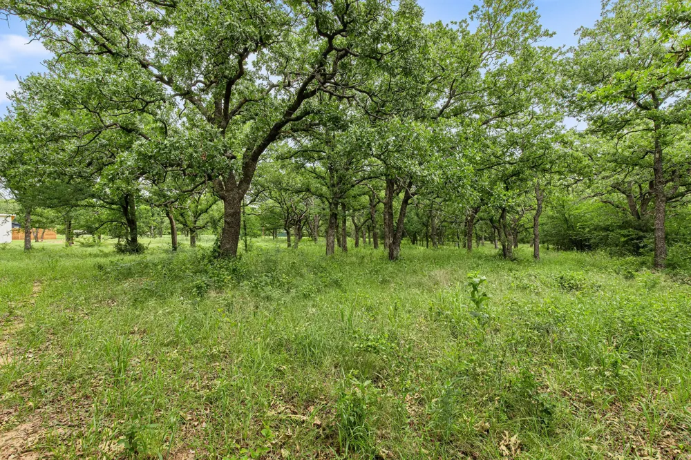 1999 Sunflower Road Paradise, TX 76073