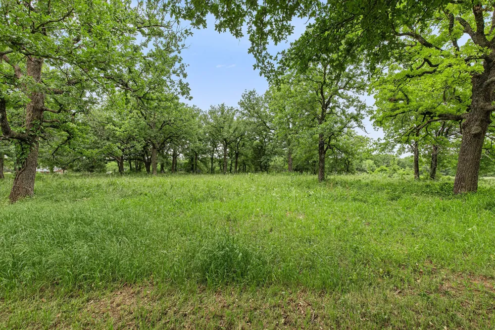 1999 Sunflower Road Paradise, TX 76073