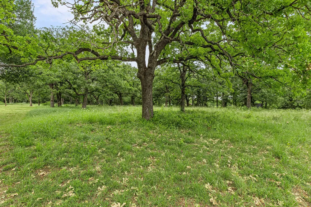 1999 Sunflower Road Paradise, TX 76073