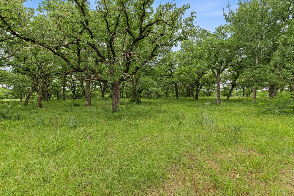 1999 Sunflower Road Paradise, TX 76073