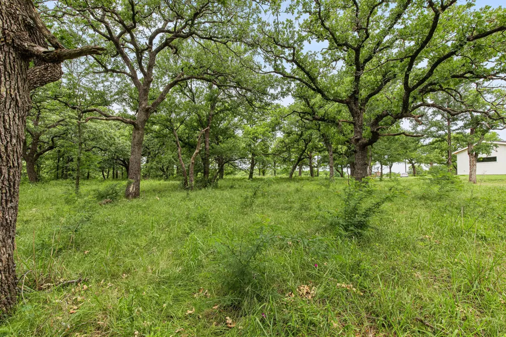 1999 Sunflower Road Paradise, TX 76073