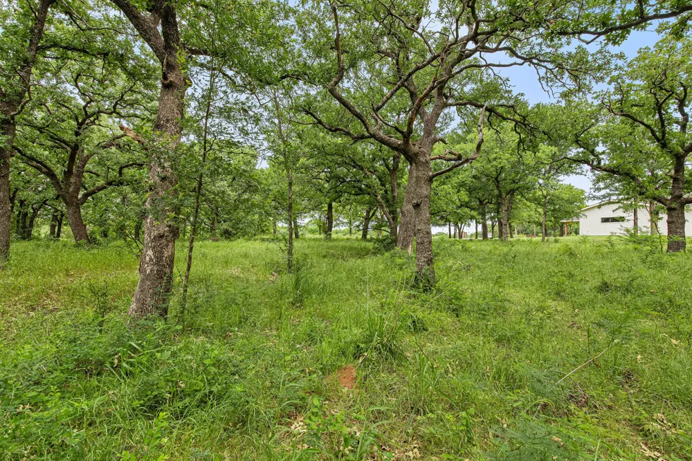 1999 Sunflower Road Paradise, TX 76073