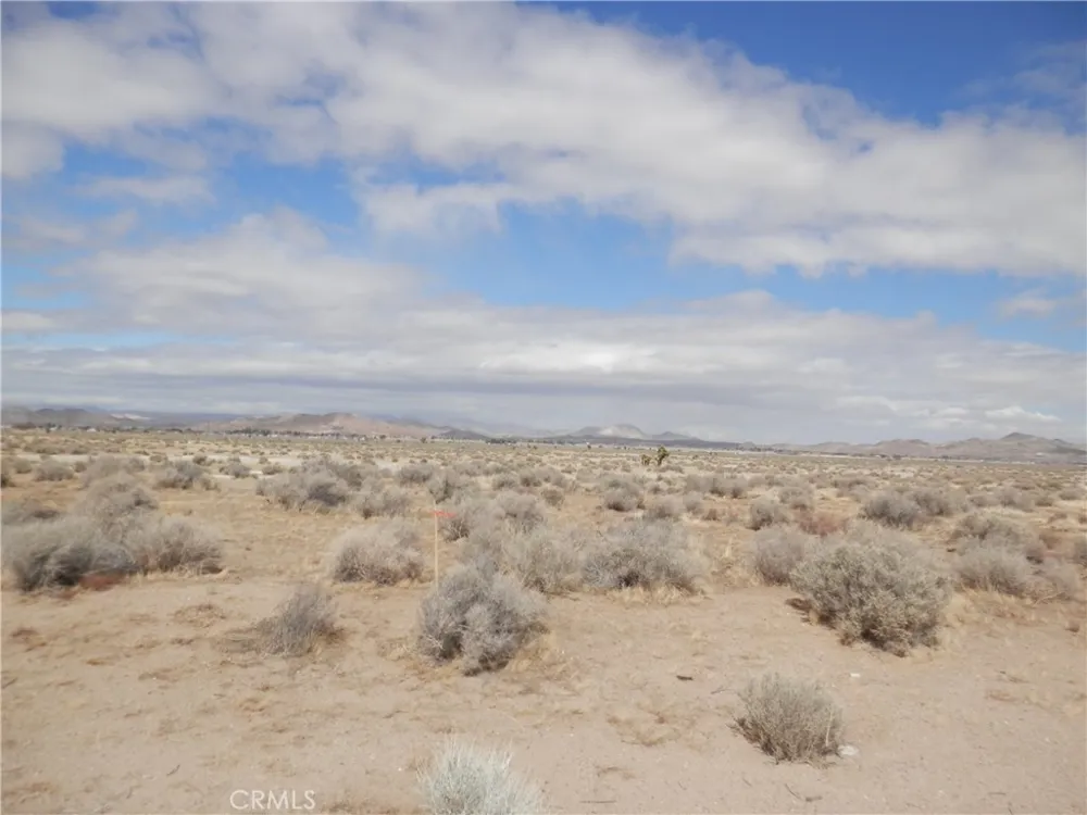 Gaskell Road Rosamond, CA 93560