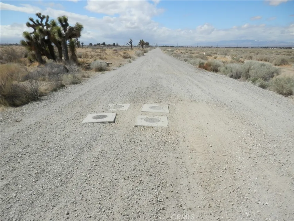 Gaskell Road Rosamond, CA 93560